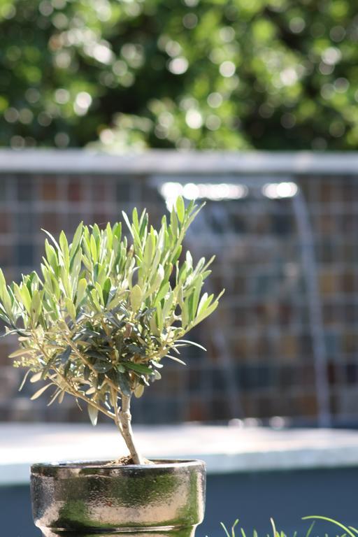 L'Abri Du Poete Bed and Breakfast Besse-sur-Issole Εξωτερικό φωτογραφία