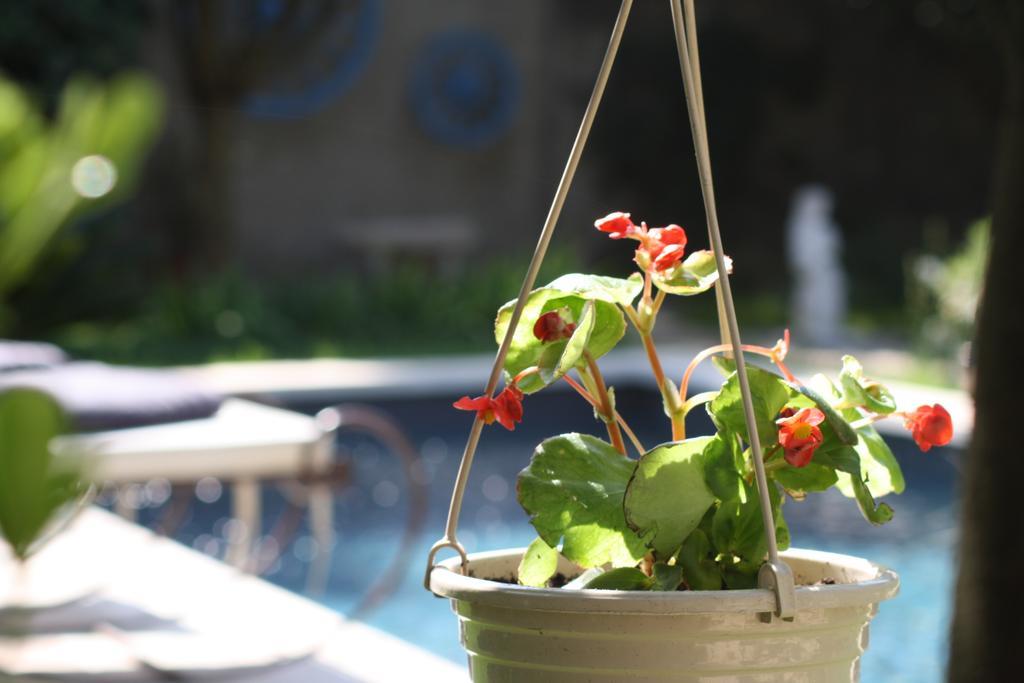 L'Abri Du Poete Bed and Breakfast Besse-sur-Issole Εξωτερικό φωτογραφία