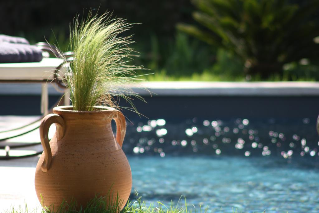 L'Abri Du Poete Bed and Breakfast Besse-sur-Issole Εξωτερικό φωτογραφία
