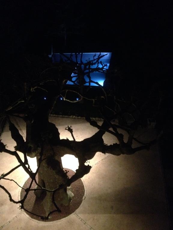 L'Abri Du Poete Bed and Breakfast Besse-sur-Issole Εξωτερικό φωτογραφία