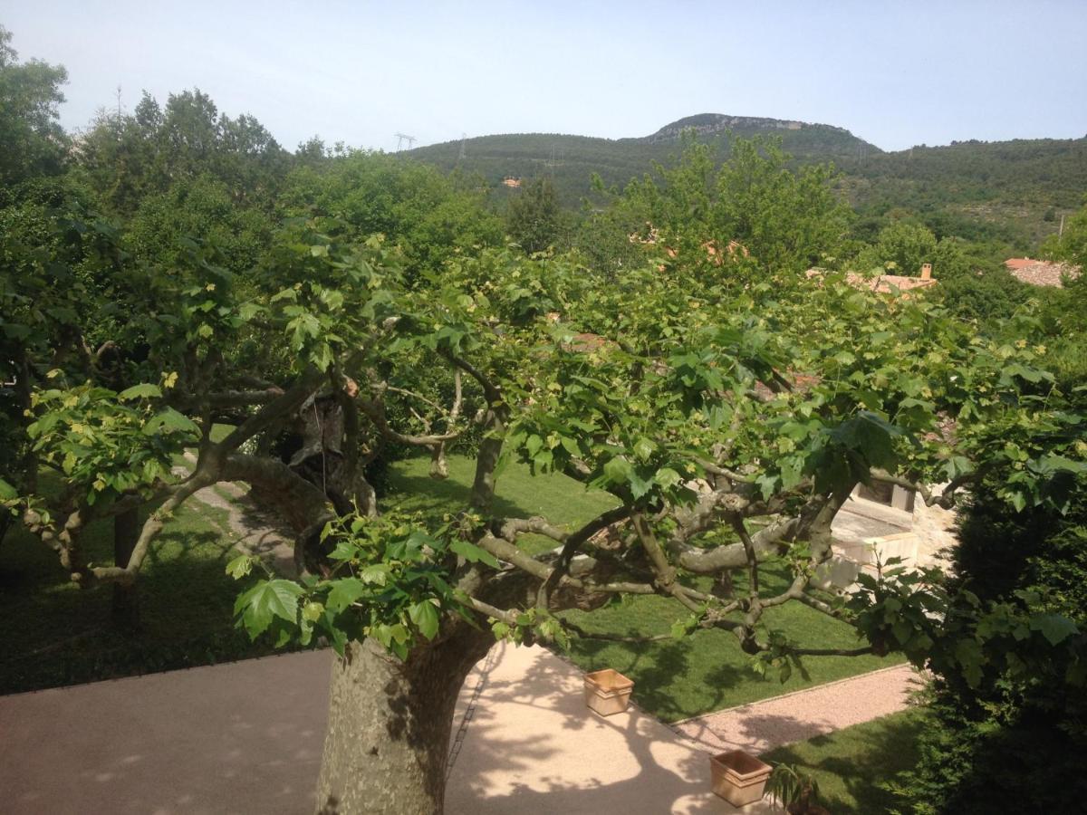 L'Abri Du Poete Bed and Breakfast Besse-sur-Issole Δωμάτιο φωτογραφία