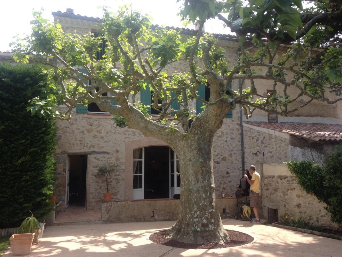 L'Abri Du Poete Bed and Breakfast Besse-sur-Issole Εξωτερικό φωτογραφία